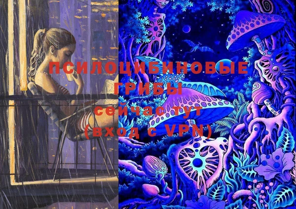 PSILOCYBIN Алексеевка