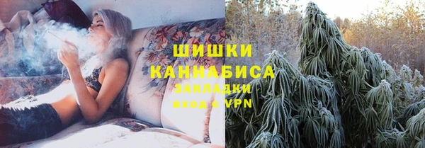 PSILOCYBIN Алексеевка