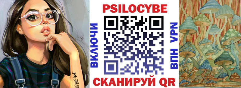 дарк нет телеграм  продажа наркотиков  Далматово  Псилоцибиновые грибы прущие грибы  hydra зеркало 